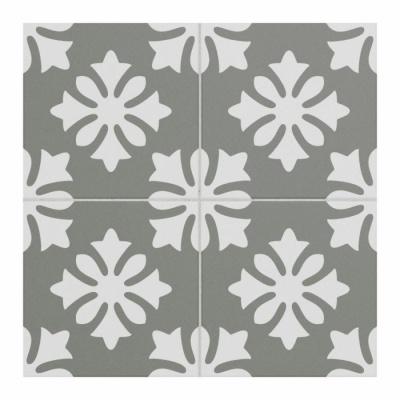 Dali Patterned Glazed Ceramic Wall & Floor Tile 250x250mm
